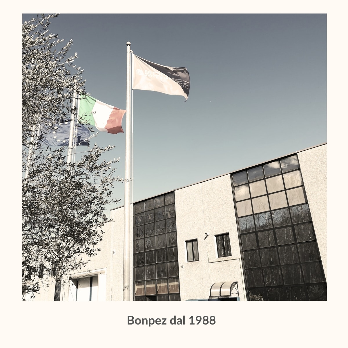 Bonpez nasce nel 1988